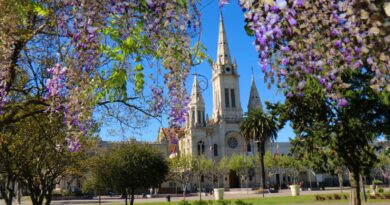 Atletas lamatritenses en “Me encanta Bolívar”